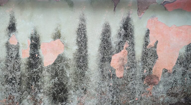 Photo urban forest bathing